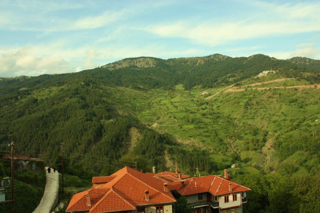 Archontiko Metsovou Luxury Boutique Hotel 객실 사진