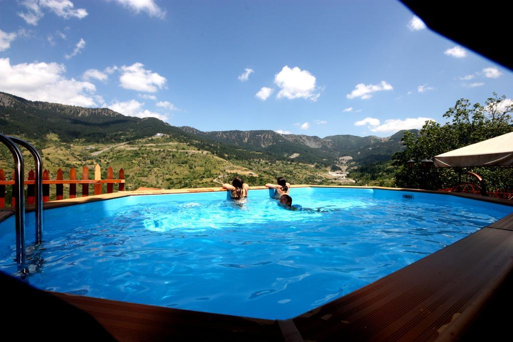 Archontiko Metsovou Luxury Boutique Hotel 객실 사진