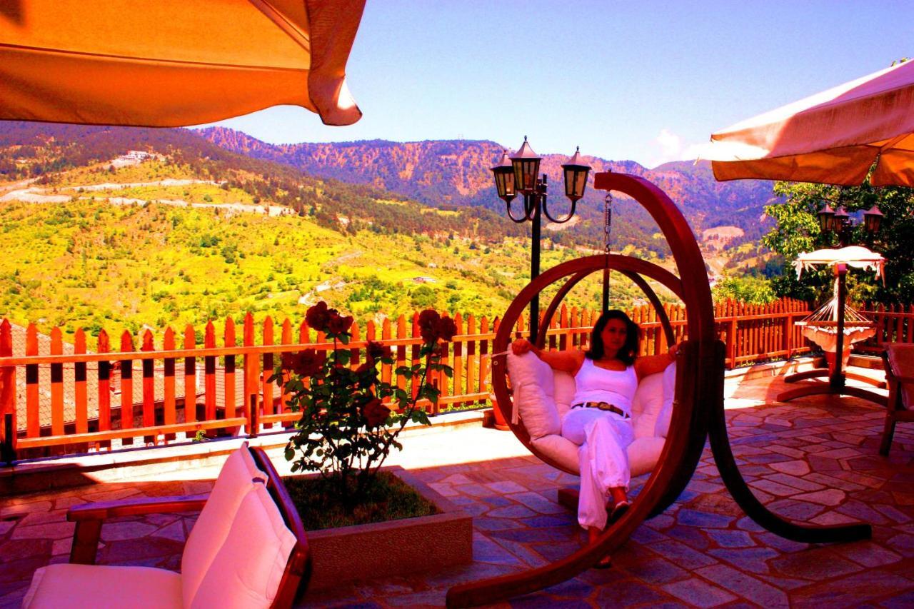 Archontiko Metsovou Luxury Boutique Hotel 객실 사진